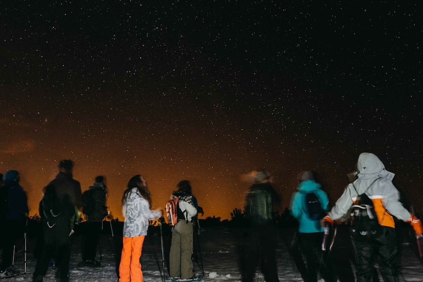 Picture 3 for Activity From La Raya: Night Snowshoe Tour in Asturias