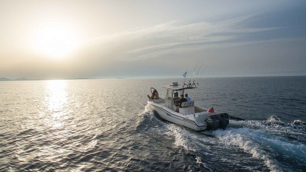 Picture 1 for Activity From Naxos: Iraklia Island Boat Tour with Drinks