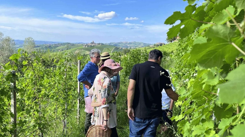 Monforte d'Alba: Winery Tour with Aperitif &Tasting
