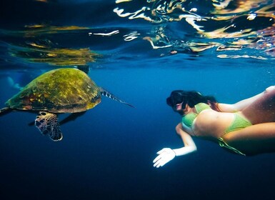 Ko Tao: Late Riser Island Hopping Tour with Lunch and Sunset