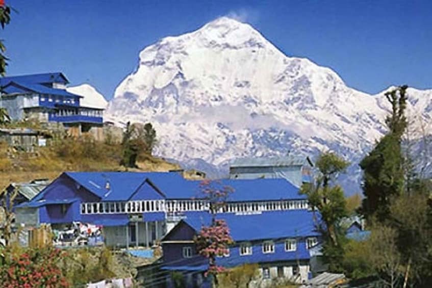 Pokhara: 6-Days Poonhill & Ghandruk Trek Via Hot-Spring