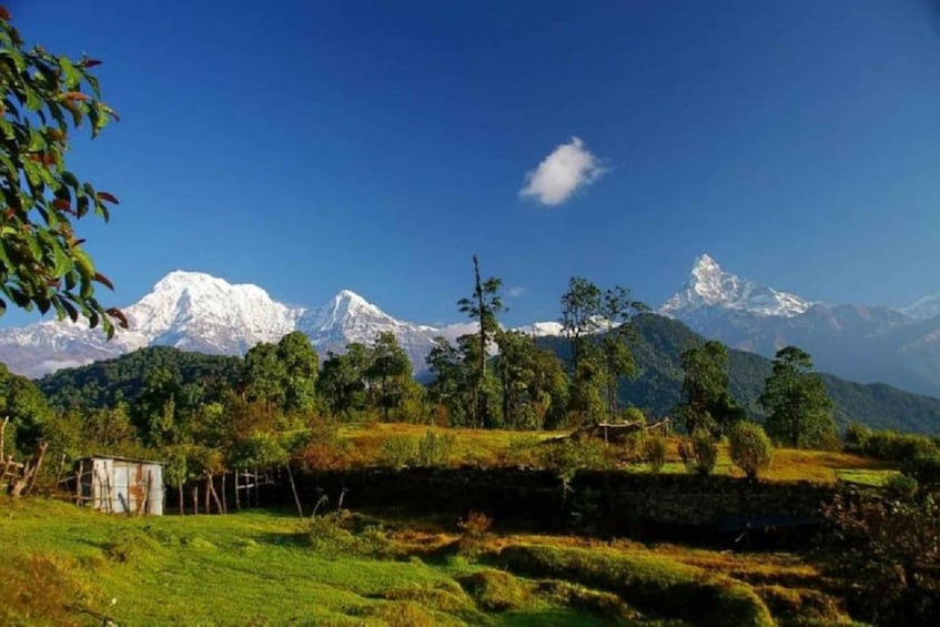 Picture 8 for Activity Pokhara: 6-Days Poonhill & Ghandruk Trek Via Hot-Spring