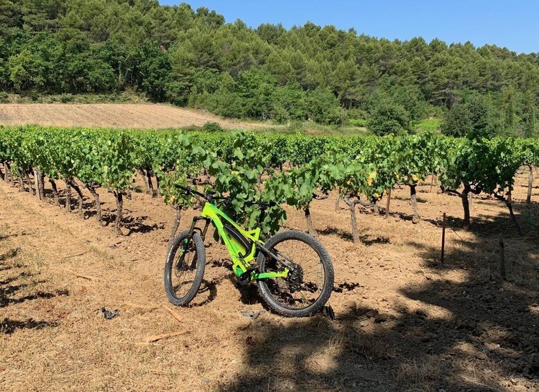 Picture 3 for Activity Joucas : Vineyard Bike Ride