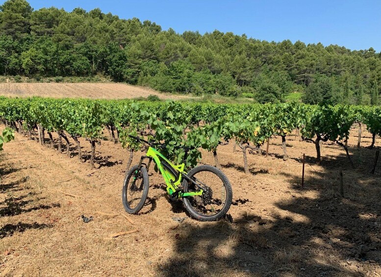 Picture 3 for Activity Joucas : Vineyard Bike Ride