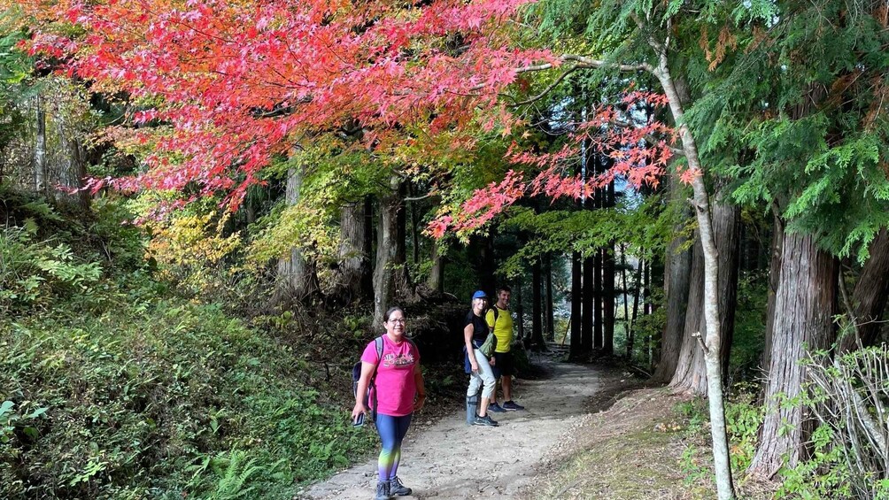 Picture 4 for Activity Nagoya: Full-day Kisoji Nakaendo Trail Tour