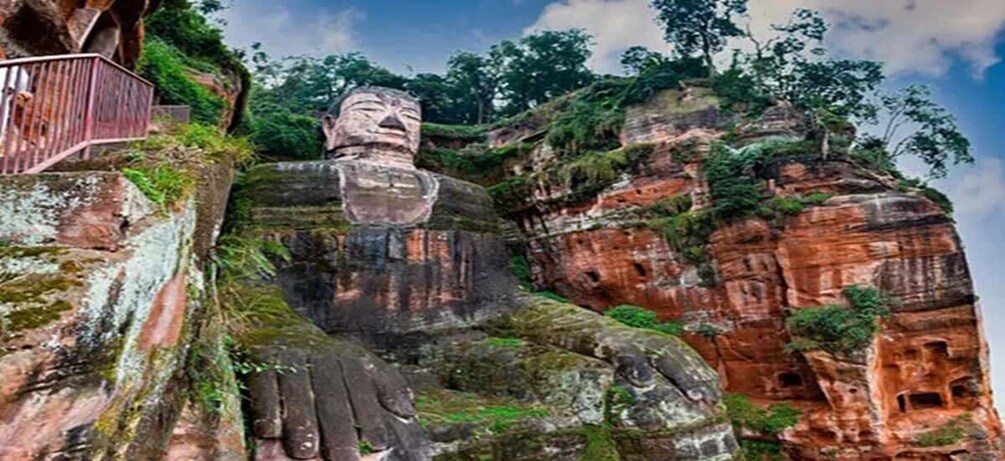 Picture 7 for Activity Leshan Buddha, Tea House&Mt. Emei 2 Days Private tour