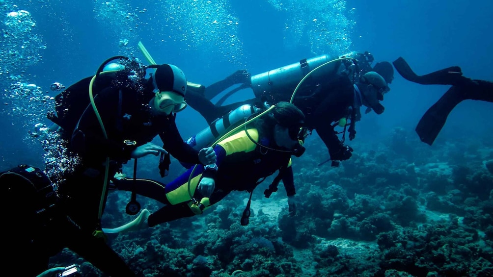 Picture 13 for Activity Hurghada: 1 or 2-Day Diving Package with Pickup and Meals