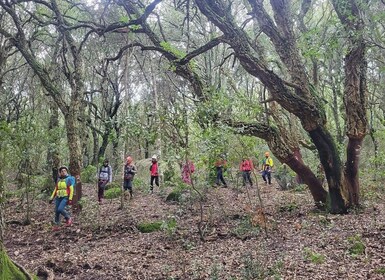 Monte Tiniterra: guided hiking tour