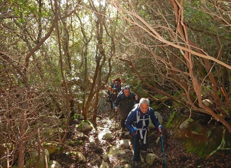 Picture 9 for Activity Monte Tiniterra: guided hiking tour