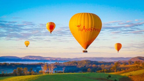 Gold Coast: Hot Air Balloon Flight and Vineyard Breakfast