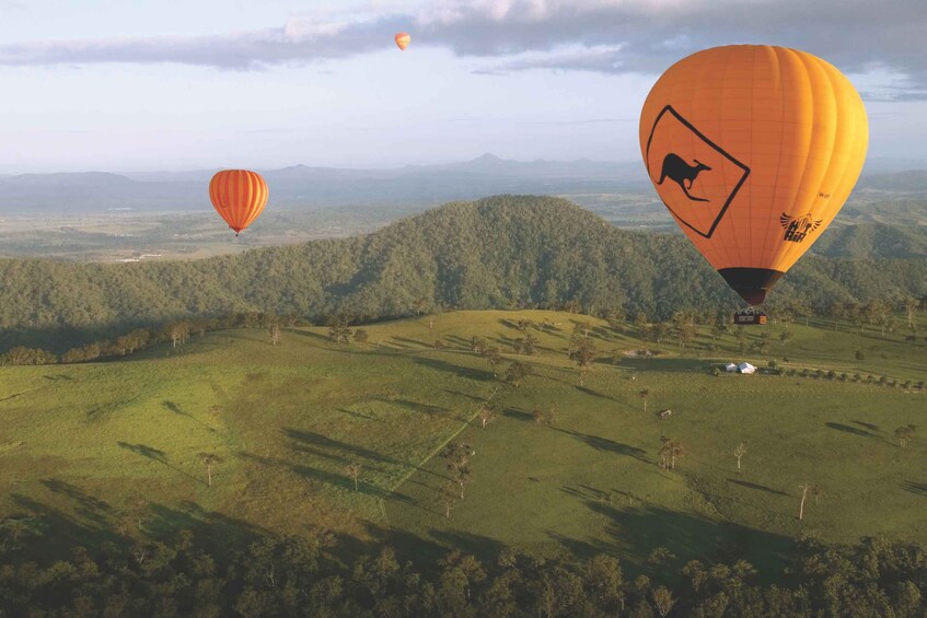 Picture 8 for Activity Gold Coast: Hot Air Balloon Flight and Vineyard Breakfast