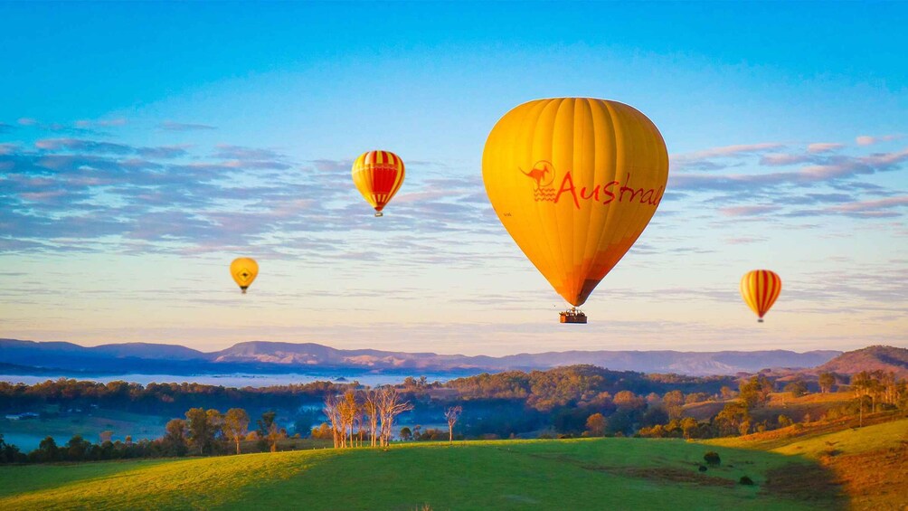 Gold Coast: Hot Air Balloon Flight and Vineyard Breakfast