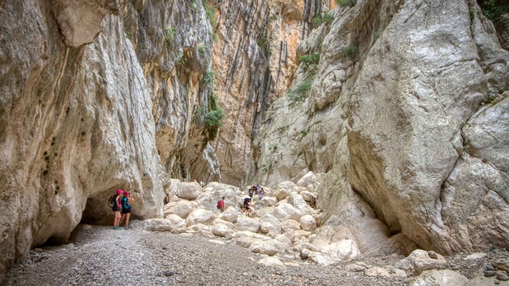 Picture 6 for Activity From Orosei or Dorgali: Gorropu canyon Guided Hiking Tour