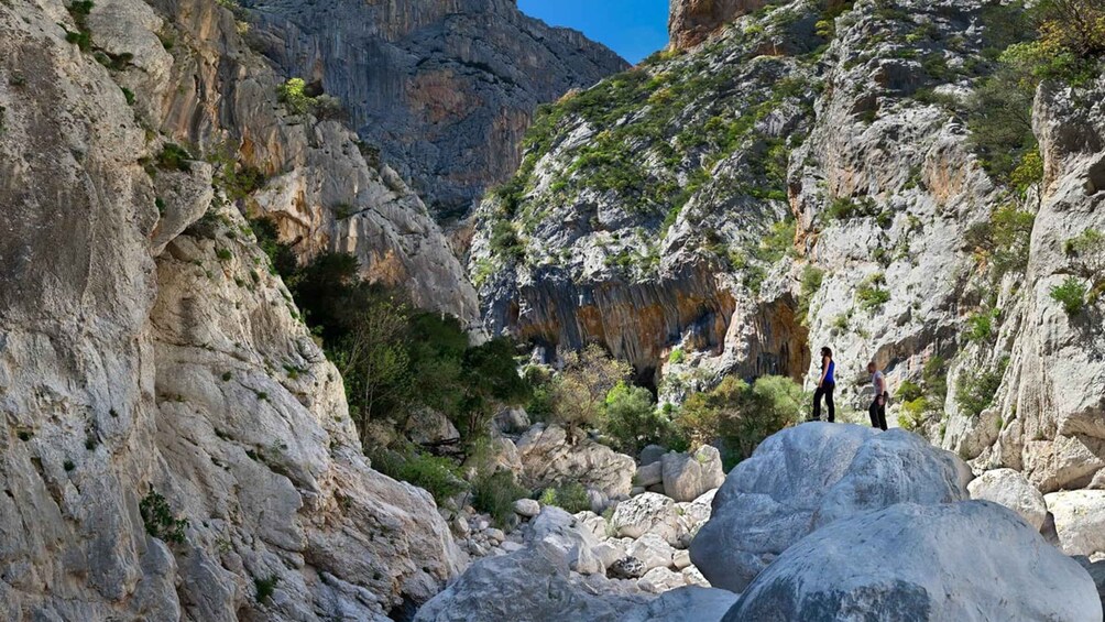 Picture 3 for Activity From Orosei or Dorgali: Gorropu canyon Guided Hiking Tour