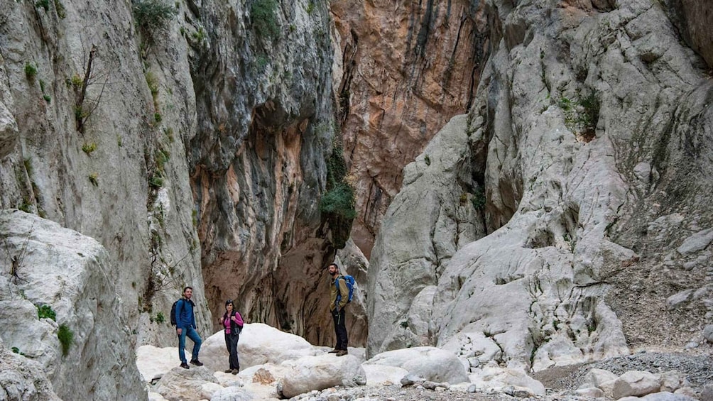 Picture 4 for Activity From Orosei or Dorgali: Gorropu canyon Guided Hiking Tour