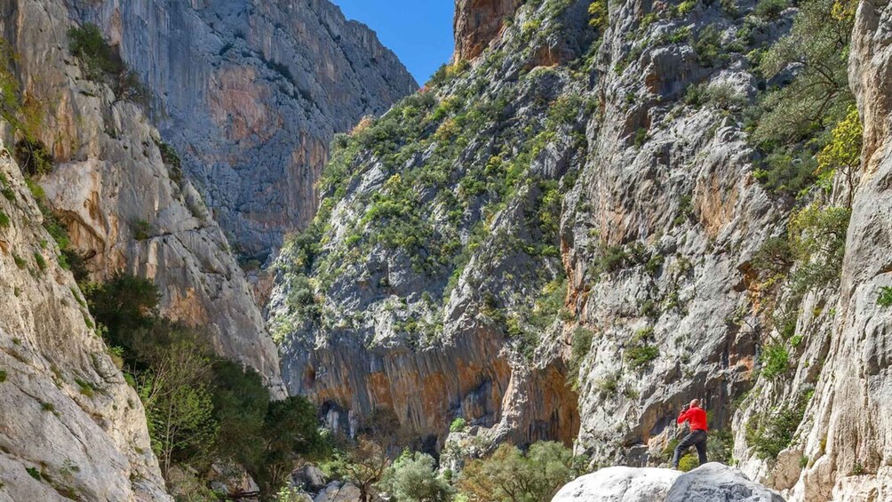 Picture 5 for Activity From Orosei or Dorgali: Gorropu canyon Guided Hiking Tour