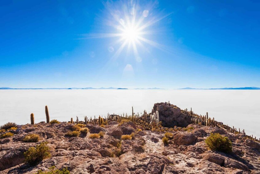 Picture 10 for Activity From San Pedro de Atacama: Uyuni Salt Flat 3-Days