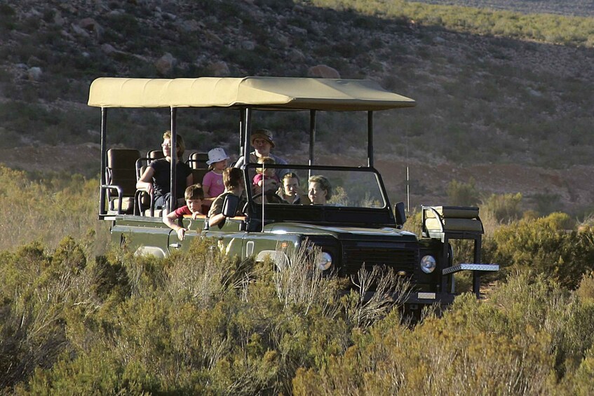 Picture 2 for Activity Aquila Reserve: Private Day Tour with Shared Game Drive