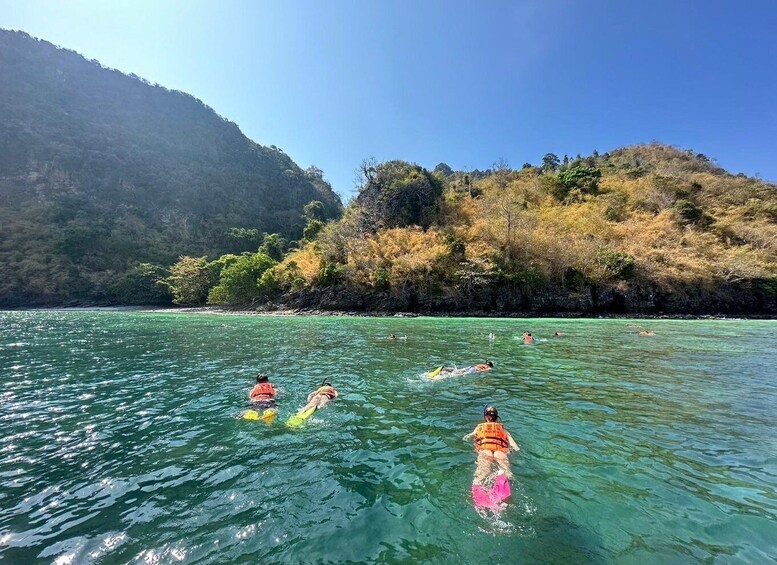 Picture 3 for Activity Krabi: Private Long Tail Boat to the 4 Islands