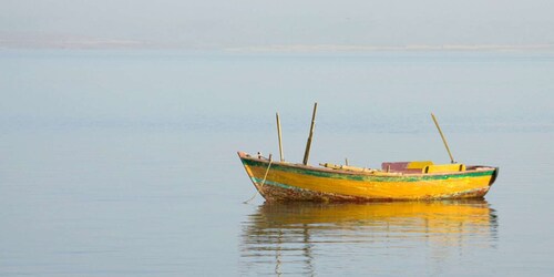 Dari Kairo: Fayoum Oasis dan Tur Berpemandu Wadi Al Rayan