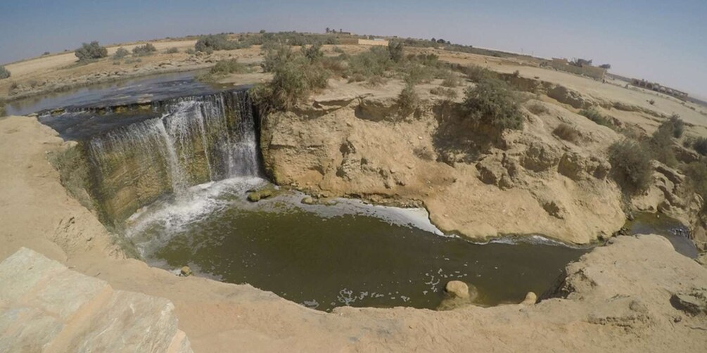 Picture 2 for Activity From Cairo: Fayoum Oasis and Wadi Al Rayan Guided Tour