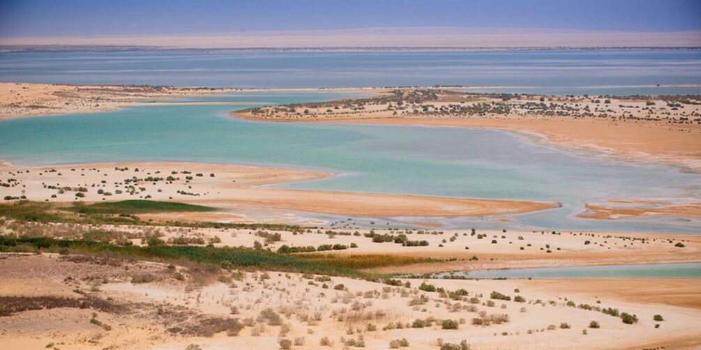 Picture 6 for Activity From Cairo: Fayoum Oasis and Wadi Al Rayan Guided Tour