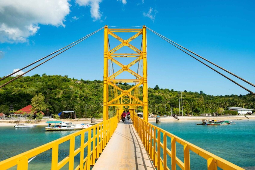 Picture 6 for Activity Nusa Lembongan Island: Snorkeling & Mangrove Forest Day Tour