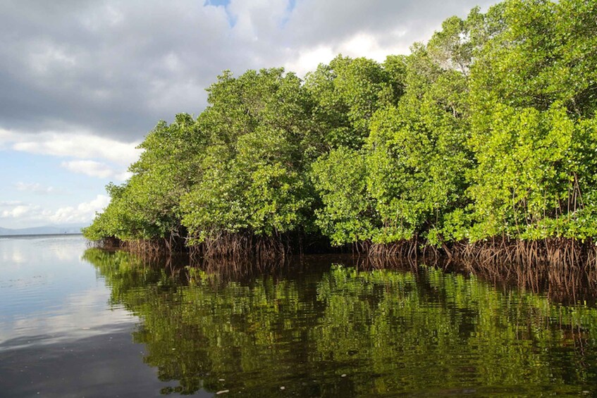 Picture 2 for Activity Nusa Lembongan Island: Snorkeling & Mangrove Forest Day Tour