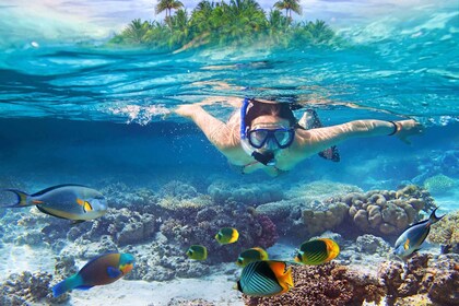 Île Nusa Lembongan : Excursion de la journée de plongée en apnée et de la f...