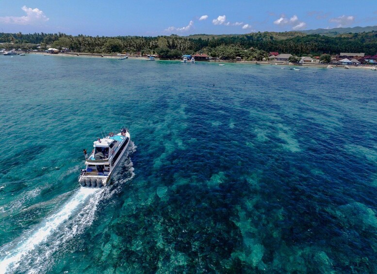 Picture 5 for Activity Nusa Lembongan Island: Snorkeling & Mangrove Forest Day Tour