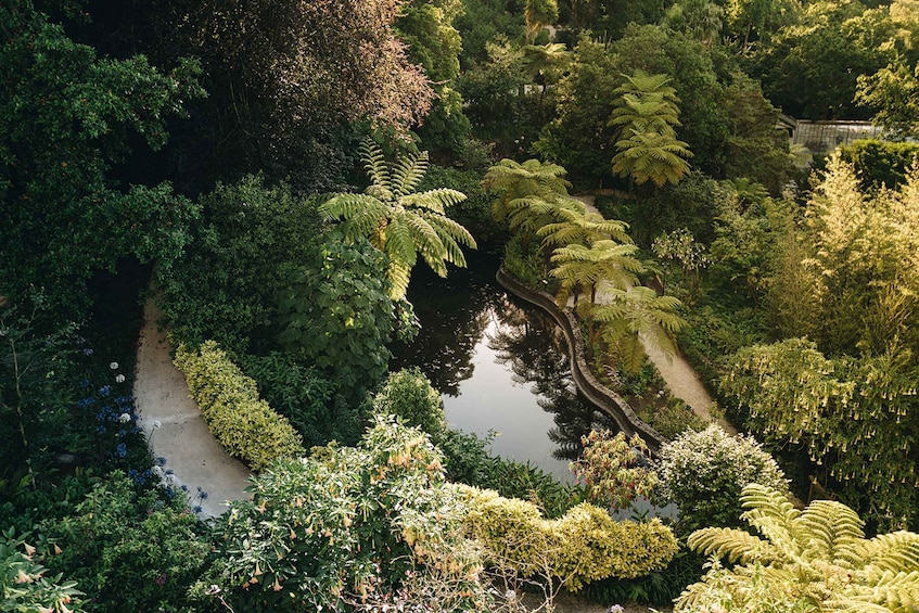 Picture 2 for Activity Sintra: Biester Palace and Park Guided Tour