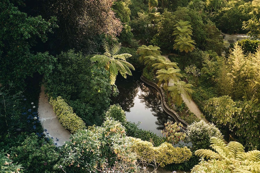 Picture 2 for Activity Sintra: Biester Palace and Park Guided Tour