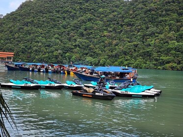 Abenteuer Insel Tuba: Entdecke Langkawi's ruhige Zuflucht