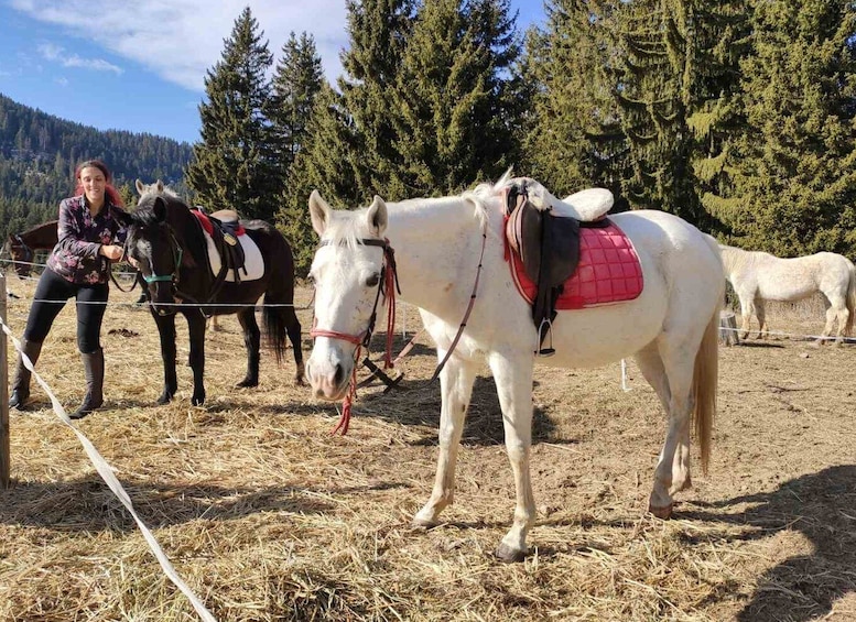 Picture 1 for Activity From Smolyan: Waterfalls Canyon Horseback Riding Tour