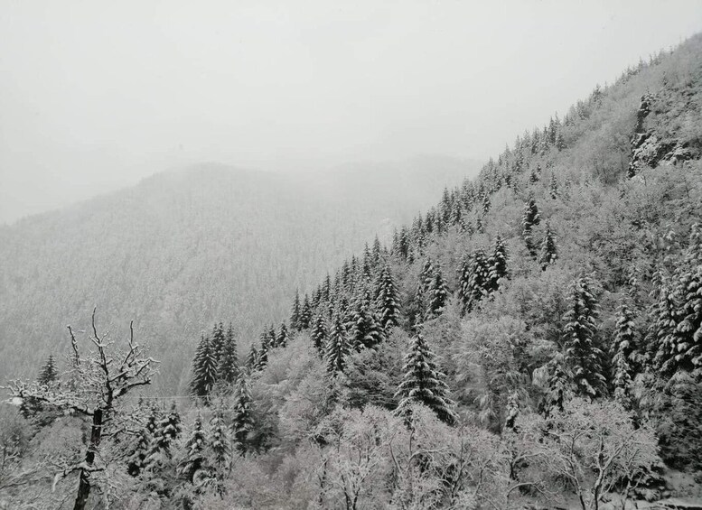 Picture 6 for Activity From Smolyan: Waterfalls Canyon Horseback Riding Tour