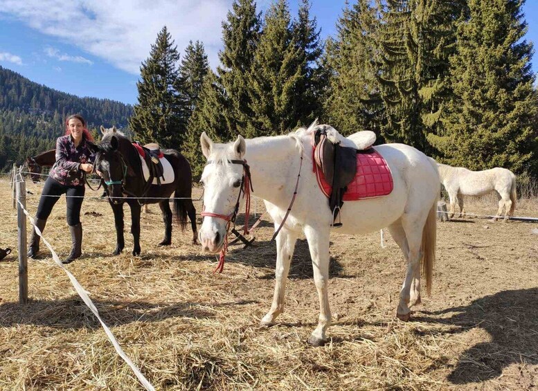 Picture 1 for Activity From Smolyan: Waterfalls Canyon Horseback Riding Tour