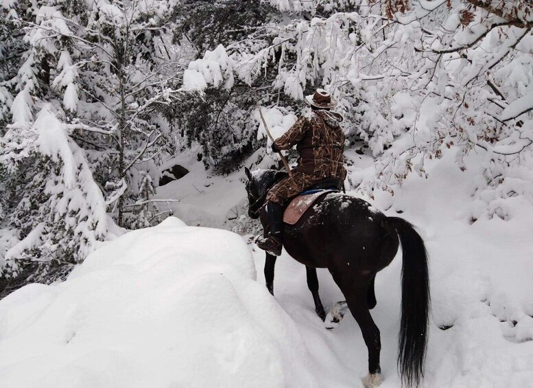 Picture 2 for Activity From Smolyan: Waterfalls Canyon Horseback Riding Tour