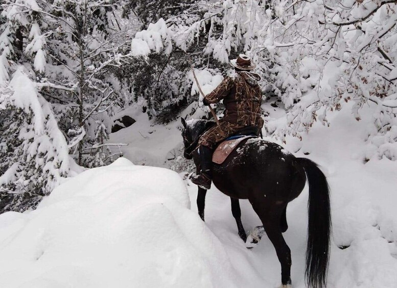 Picture 2 for Activity From Smolyan: Waterfalls Canyon Horseback Riding Tour