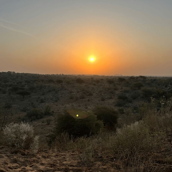 Picture 16 for Activity Jodhpur Camel Safari & Overnight Stay In Desert With Sumer