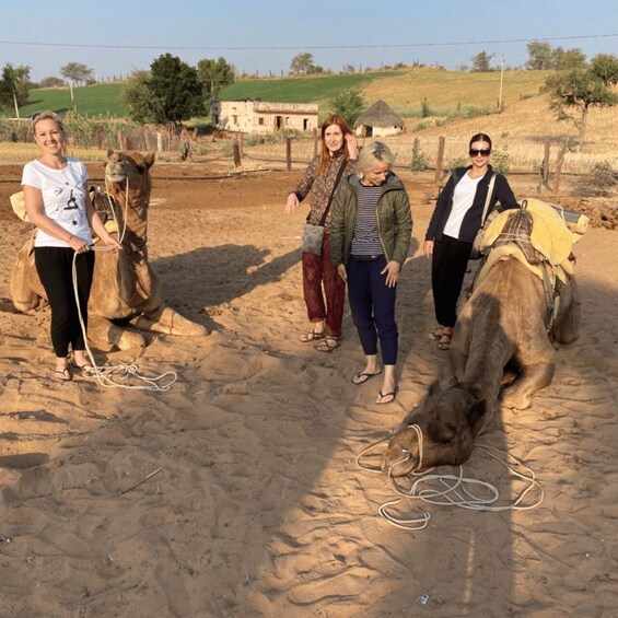 Picture 45 for Activity Jodhpur Camel Safari & Overnight Stay In Desert With Sumer