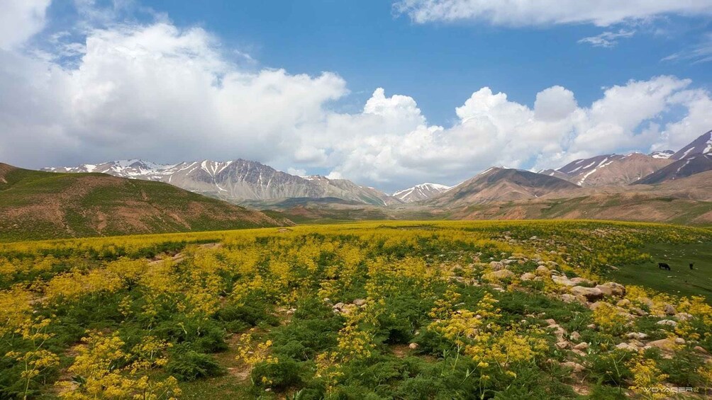 Picture 2 for Activity Undiscovered Tashkent: Arashan Lakes Day Trip