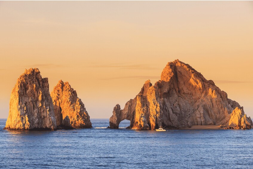 Picture 1 for Activity Cabo San Lucas: Sunset Dinner Cruise with Domestic Open Bar