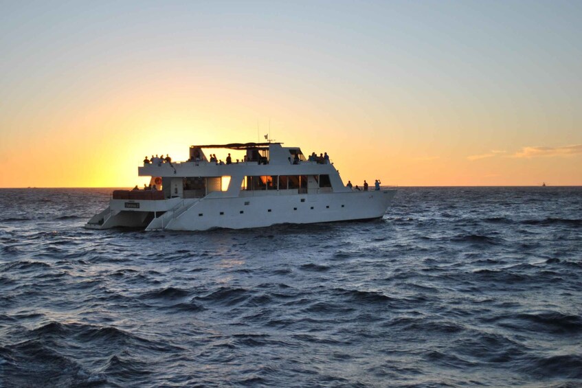 Picture 7 for Activity Cabo San Lucas: Sunset Dinner Cruise with Domestic Open Bar