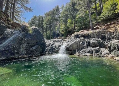 Ioannina: Valia Calda Offroad- og matlagingsopplevelse