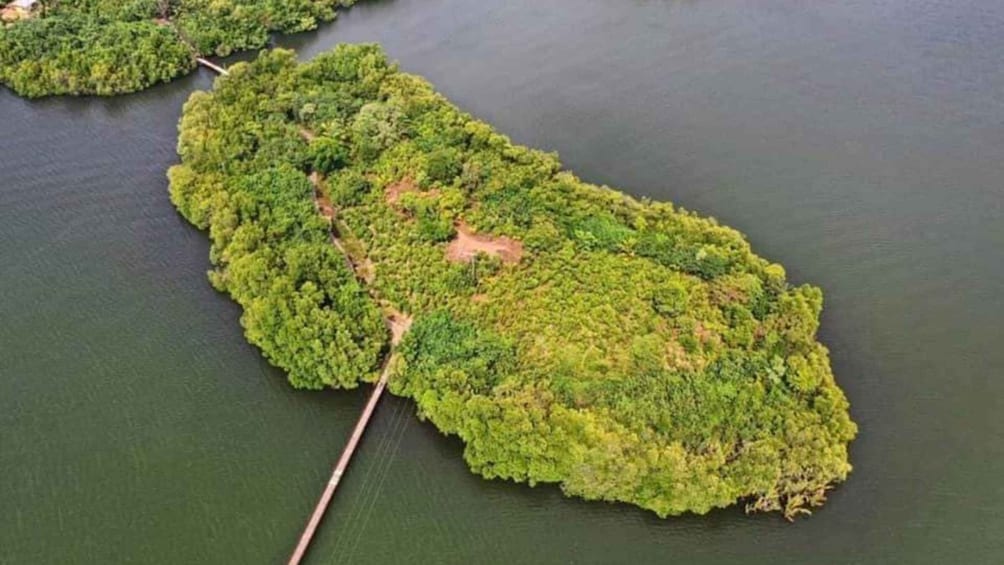 Picture 9 for Activity From Negombo: Exclusive Madu River Safari & Turtle Hatchery