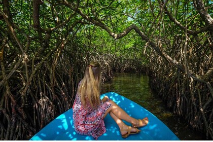 Desde Negombo: Safari exclusivo por el río Madu y criadero de tortugas