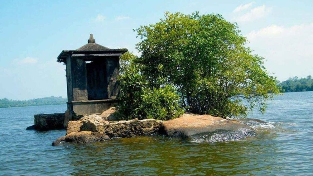 Picture 11 for Activity From Negombo: Exclusive Madu River Safari & Turtle Hatchery