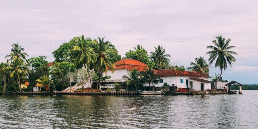 Picture 4 for Activity Madu River Safari and Turtle Farm Tour from Colombo