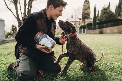 Truffle hunt in Chianti and cooking class with sunset dinner