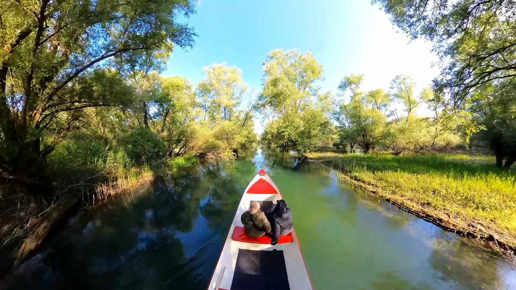 Picture 5 for Activity Virpazar: Amazon wilderness speed boat cruise
